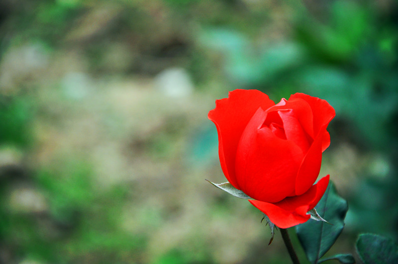 dsc_0256_.jpg