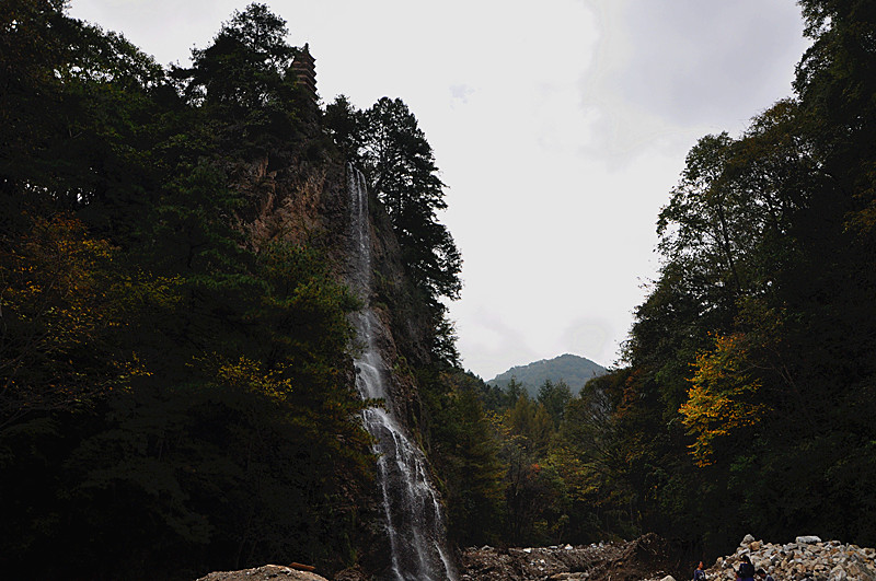 dsc_0262_.jpg