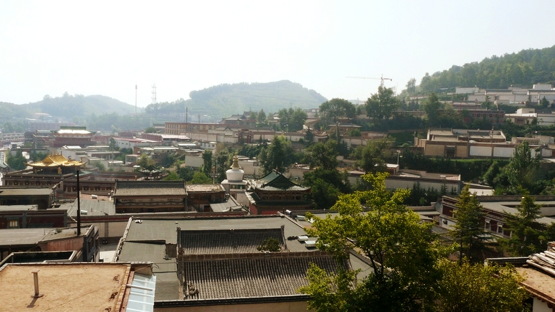 79.jpg