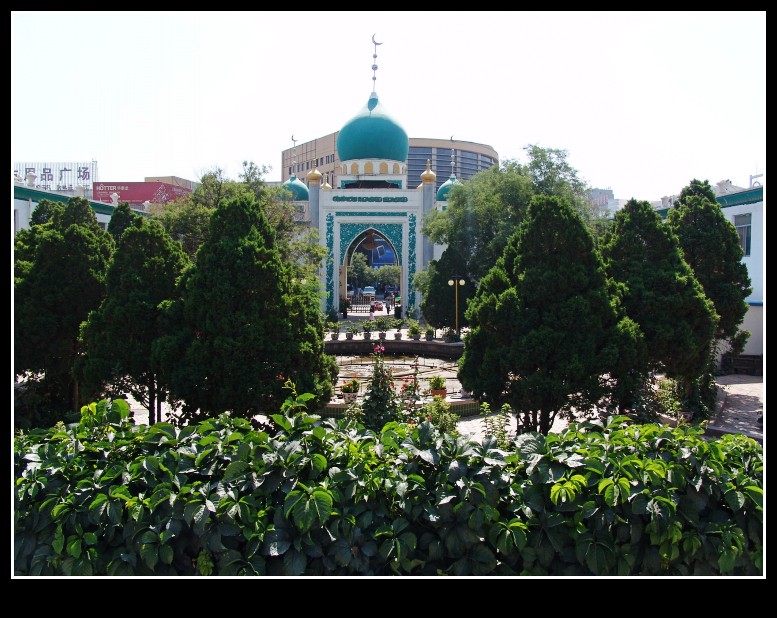 dsc09877_conew1.jpg