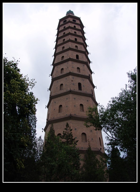 dsc09893_conew1.jpg
