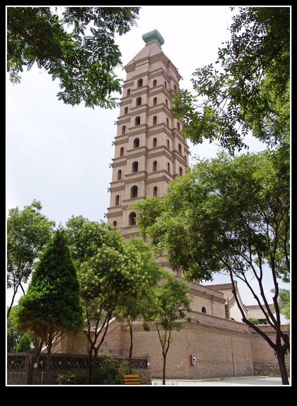 dsc09908_conew1.jpg