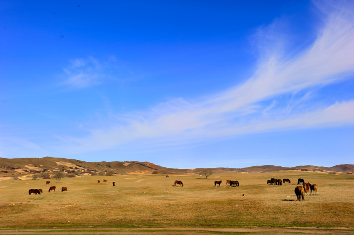 _dsc2854.jpg