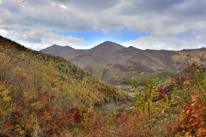 _dsc2528.jpg