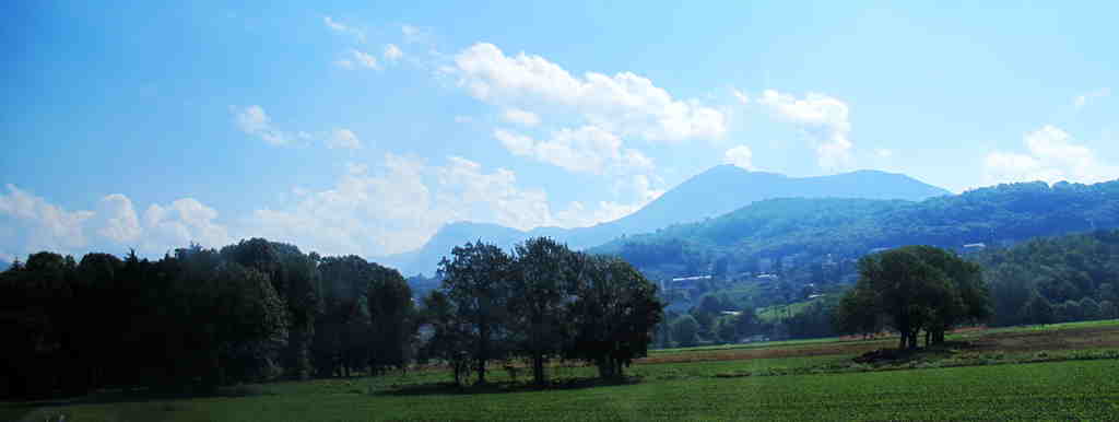 img_9478_.jpg