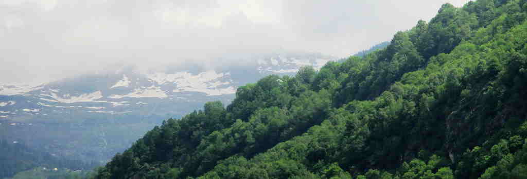 img_9549_.jpg