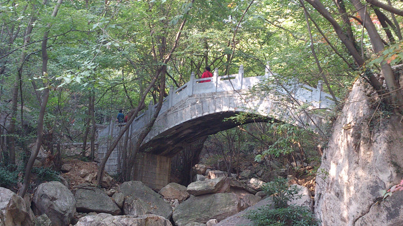 dsc_1416_.jpg