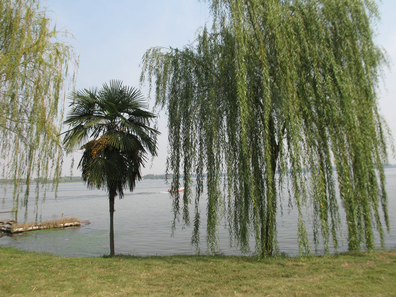 201350 033.jpg