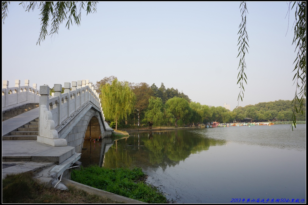 20135052.jpg