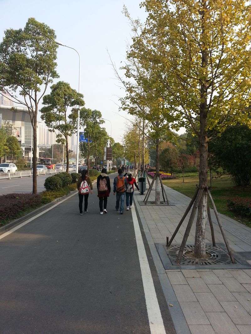 20131026_083057.jpg