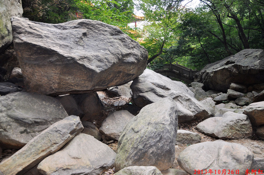 dsc_0836.jpg