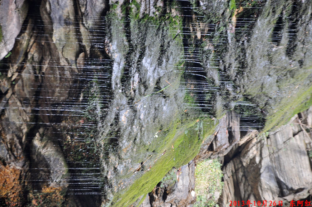 dsc_0849.jpg