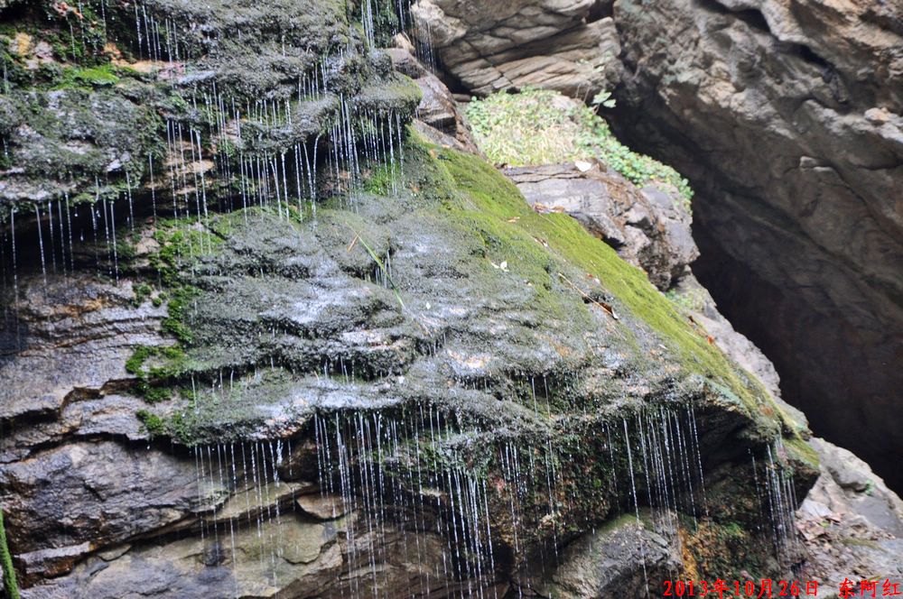 dsc_0851.jpg
