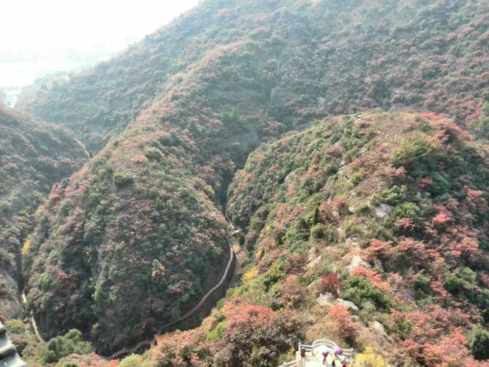 qqͼƬ20131028184458.jpg