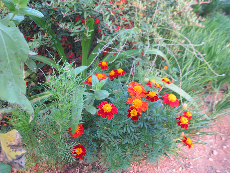 201350 079.jpg