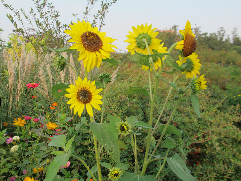 201350 078.jpg