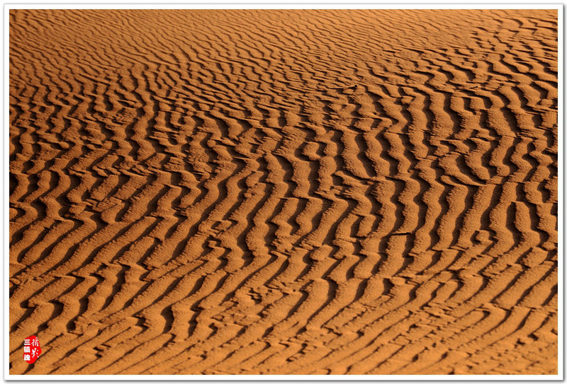 dsc_6830__.jpg