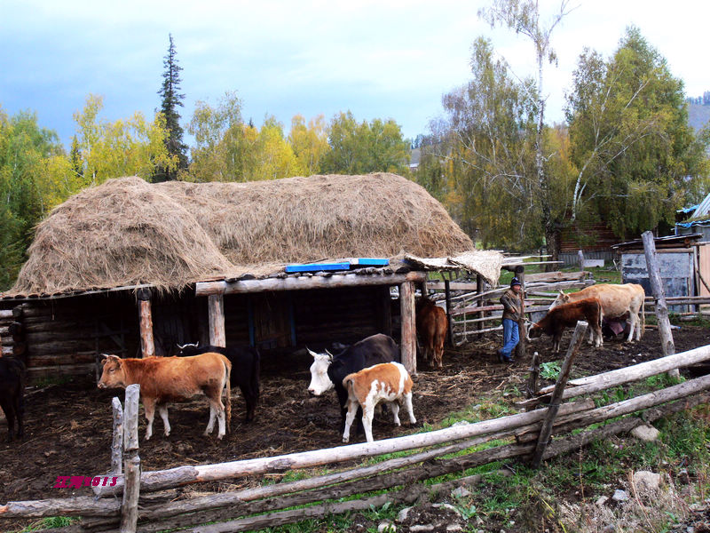 p1280657_1.jpg