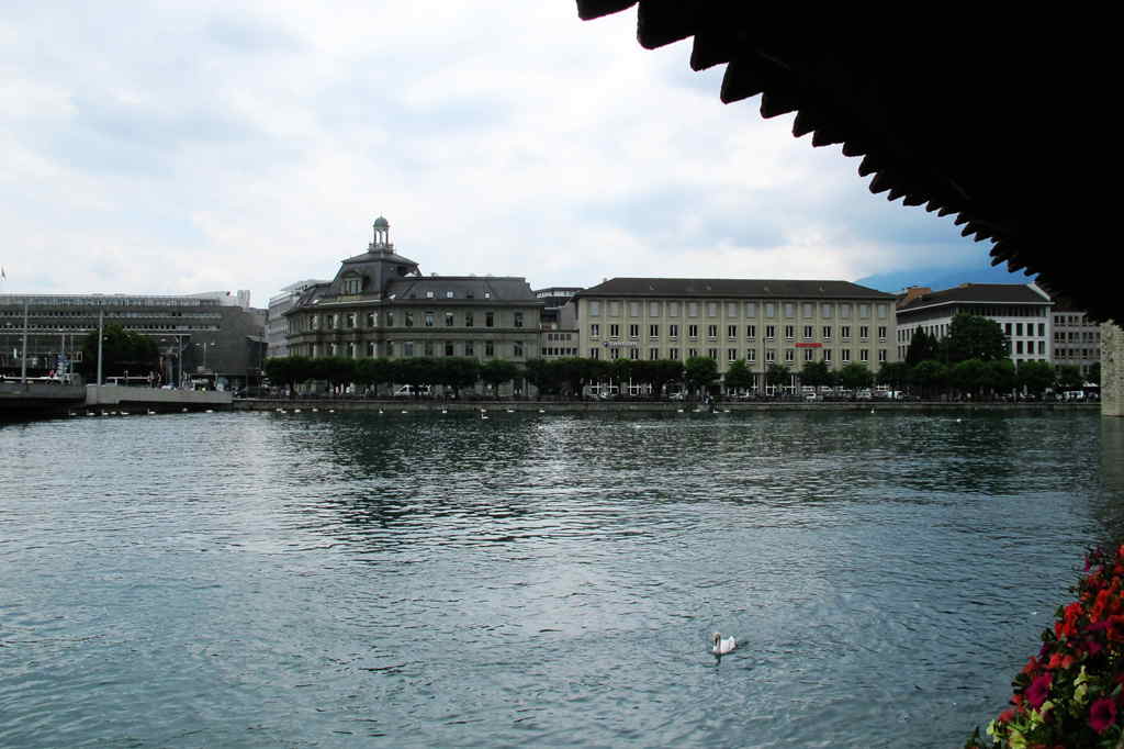 img_9736_.jpg