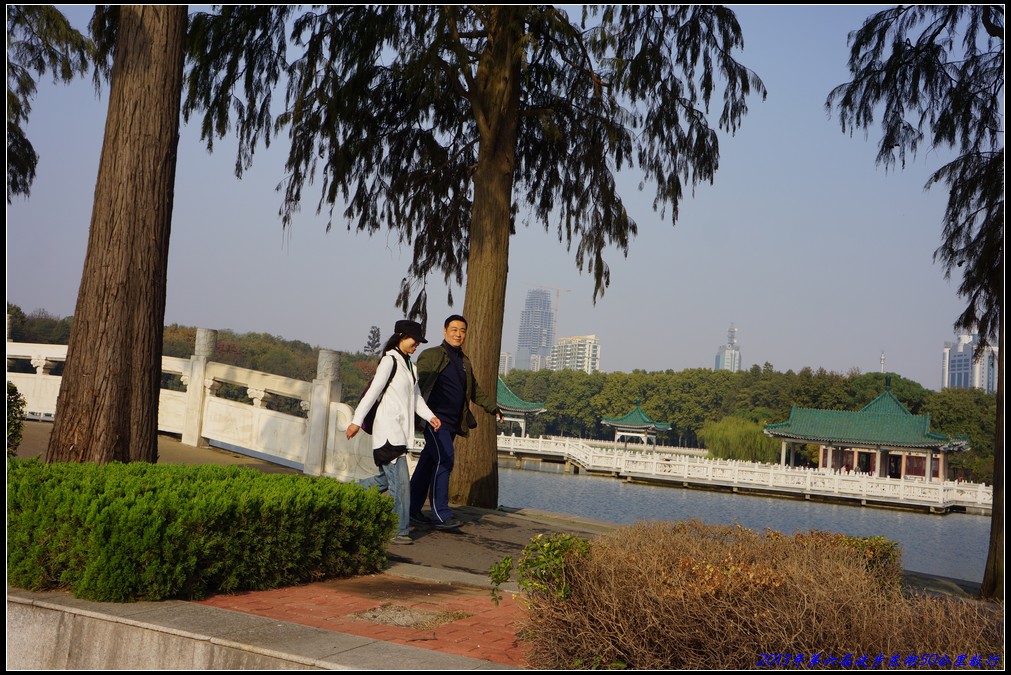 201350113.jpg