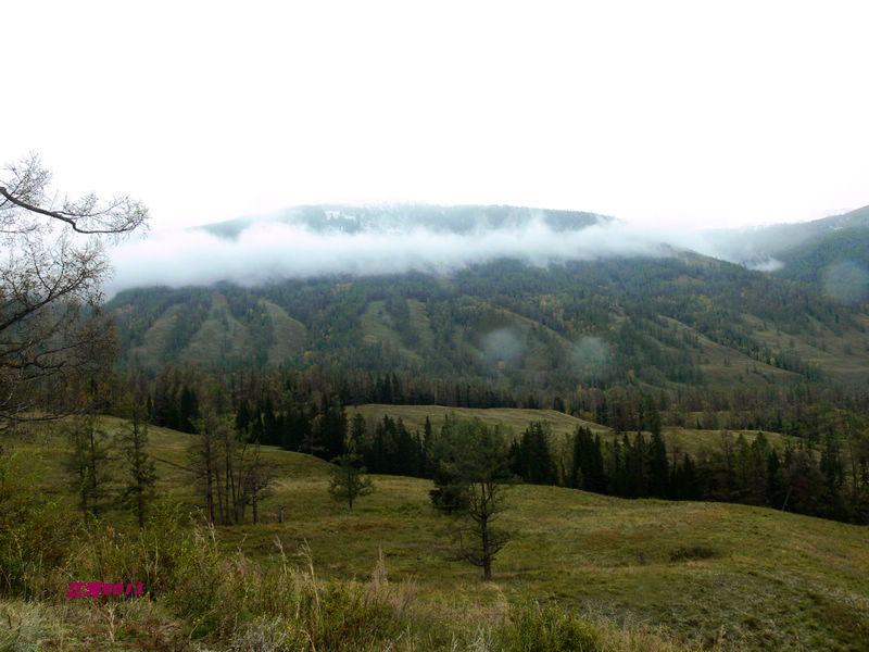 p1280723_1.jpg