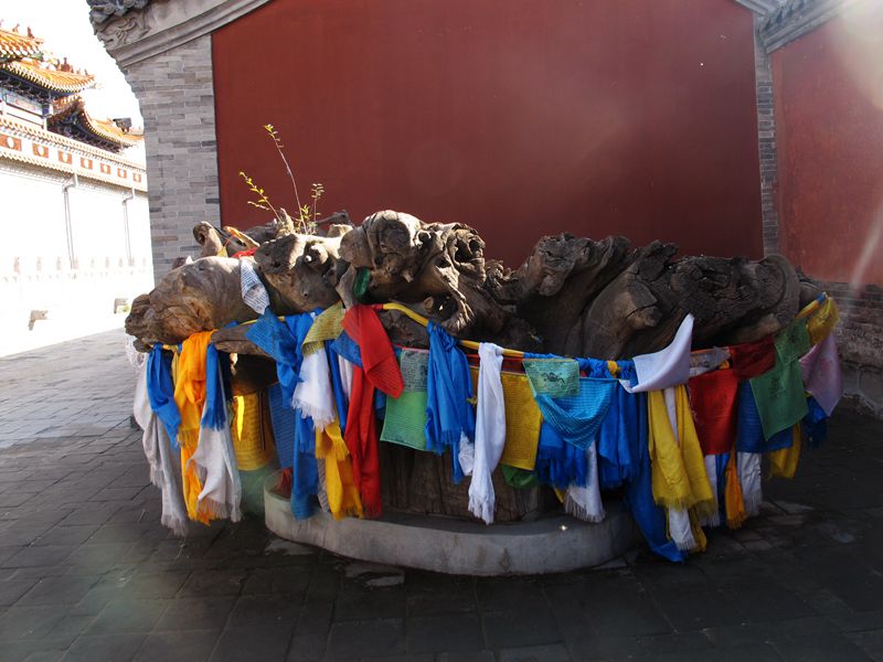 img_8835.jpg