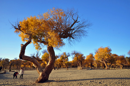 dsc_0689a.jpg
