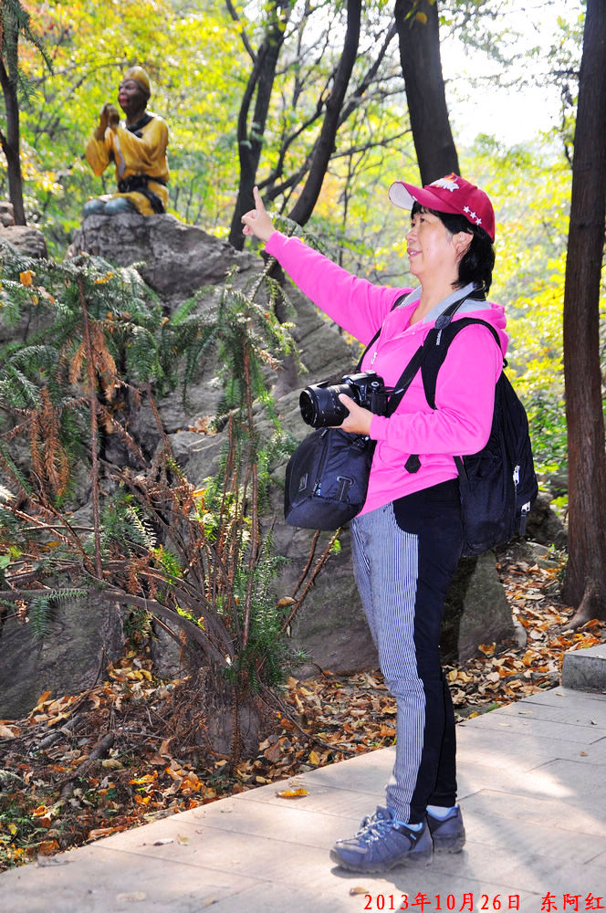 dsc_0955.jpg