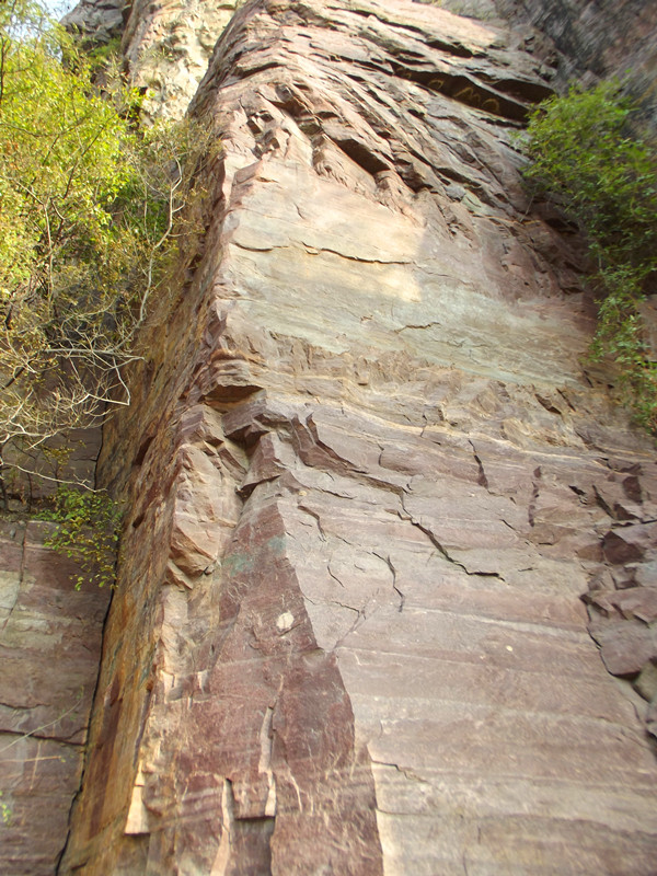 dscf4828_.jpg