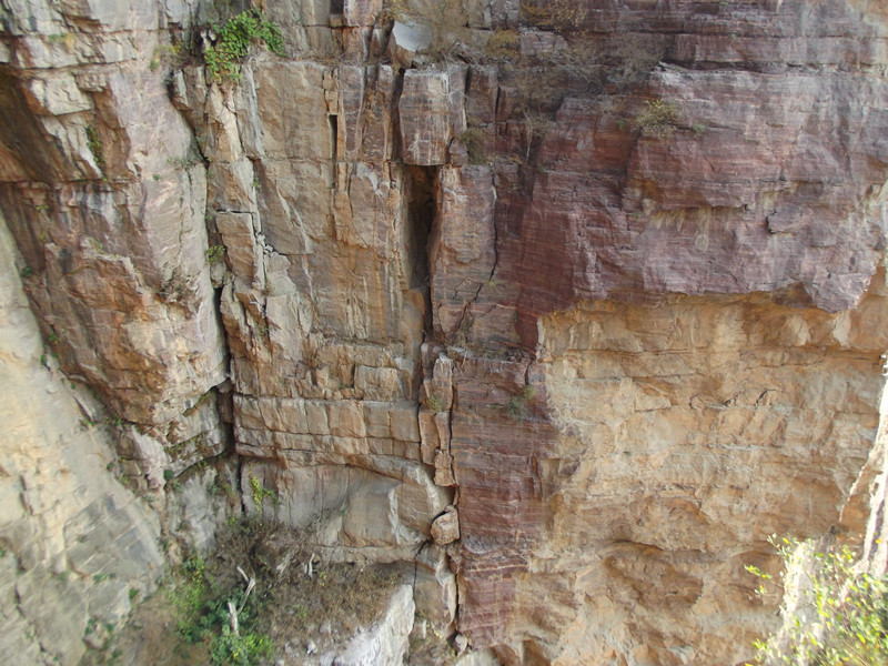 dscf4842_.jpg