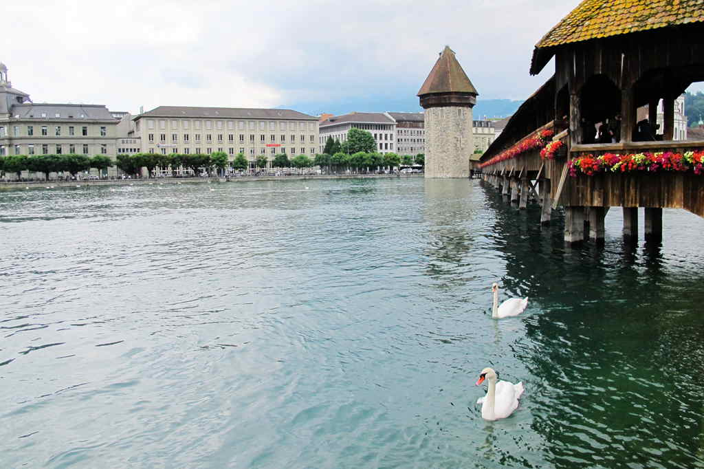img_9740_.jpg