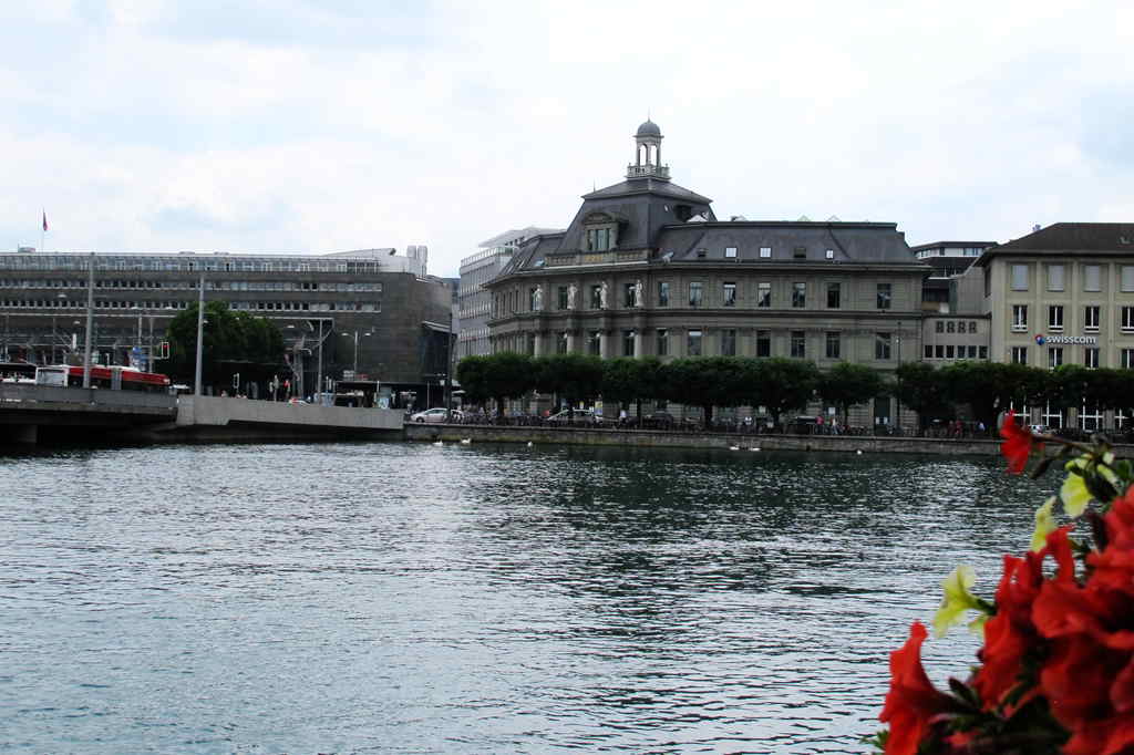 img_9743_.jpg