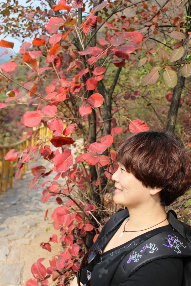 qqͼƬ20131031221111.jpg