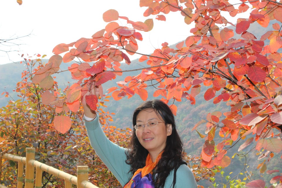 qqͼƬ20131031221402.jpg