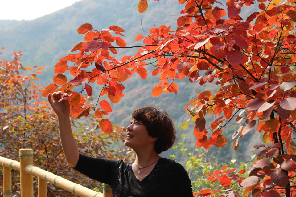 qqͼƬ20131031221426.jpg