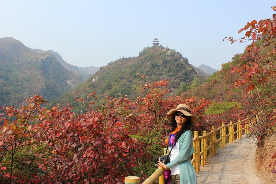 qqͼƬ20131031221459.jpg