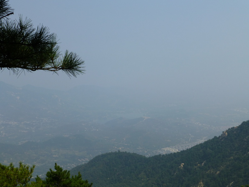 p1110974.jpg