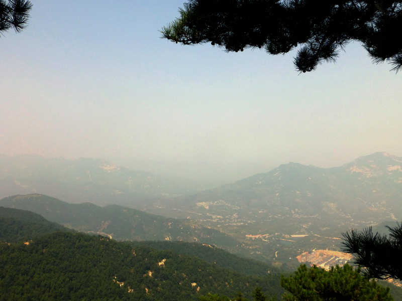 p1110973.jpg
