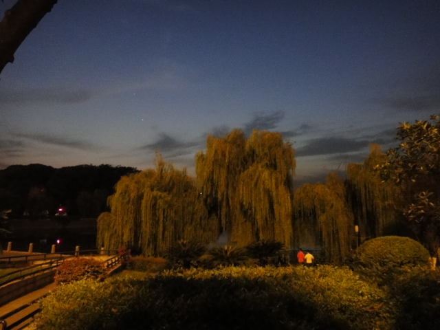 dsc01608.jpg