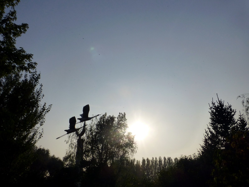 p1120430.jpg