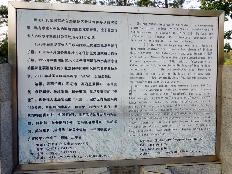 p1120431.jpg
