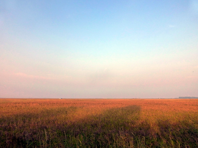 p1120443.jpg