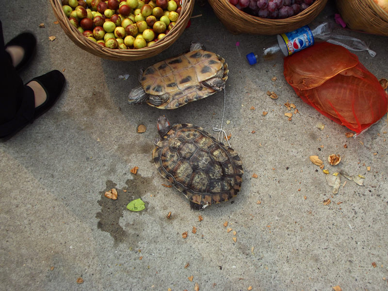 dscf4200_.jpg