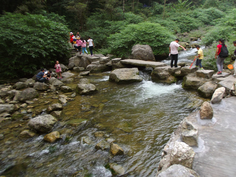 dscf4251_.jpg