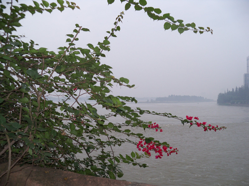 100_3207_.jpg