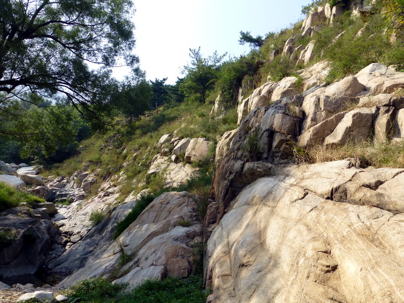 p1120018.jpg