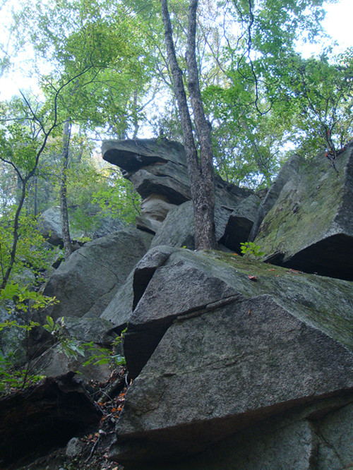 dsc01176_.jpg