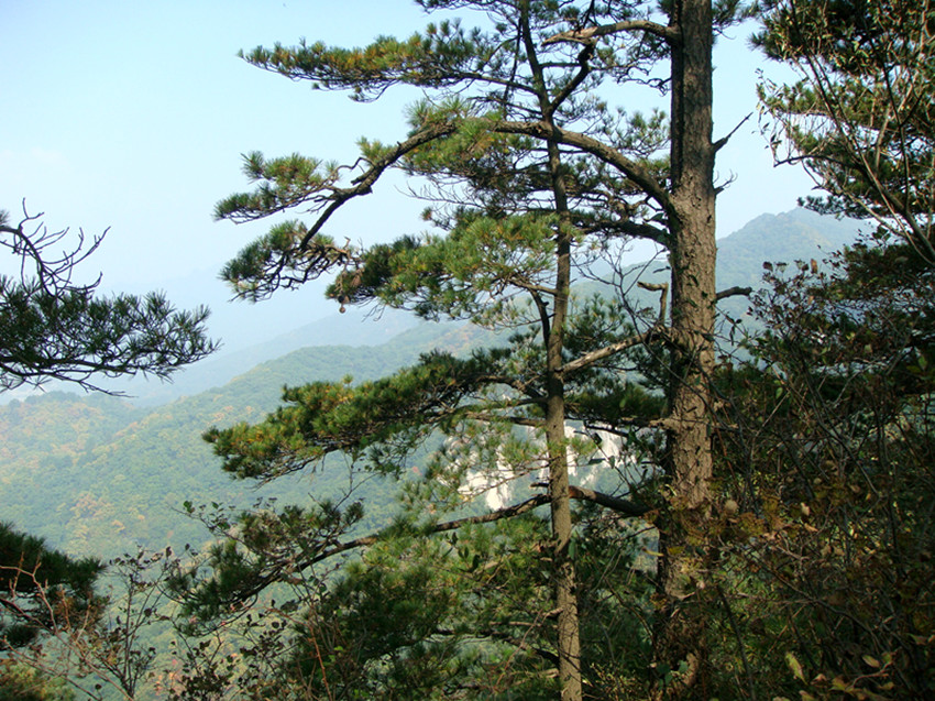 dsc01208_.jpg