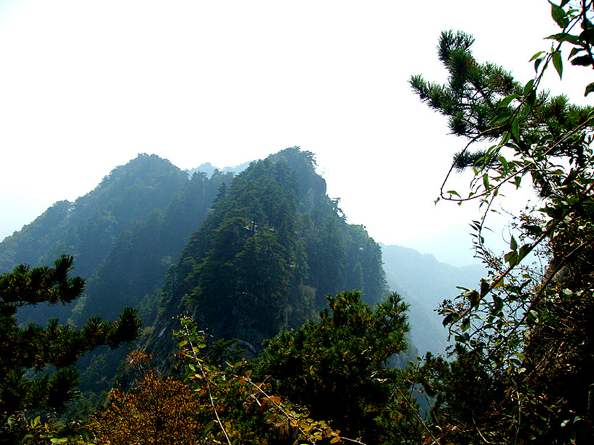 dsc01227_.jpg