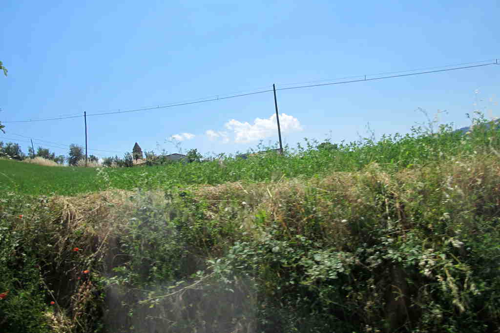 img_9009_.jpg